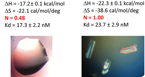 ITC-guided crystallization of the TPP riboswitch bound to its ligand