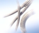 Intergard Silver Grafts from Maquet