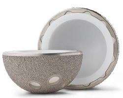 Escalade Acetabular System from Ortho Deveopment