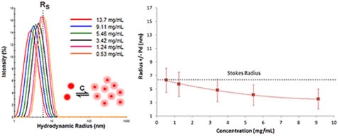DLS dilution results for an antibody formulation exhibiting electrostatic repulsive virial effects.
