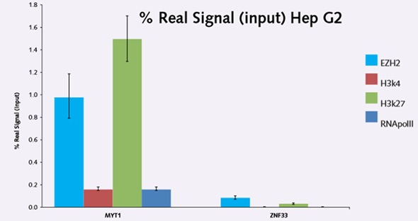 Figure 3. EZH2 induced presence of H3K27me3 is evident on MYT1 promoter. The % real signal (input) values are very low on the negative gene ZNF333 as anticipated, highlighting the sensitivity of the Chromatrap® assay.