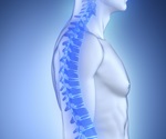New exercise-sensing pathway offers hope for osteoporosis treatment