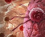 Blocking mir-21 shows promise for slowing bladder cancer growth