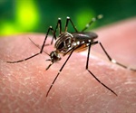 Temperature and rainfall found to drive dengue fever dynamics globally