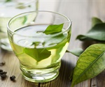 Green tea extract reduces weight and improves glucose control in obese mice