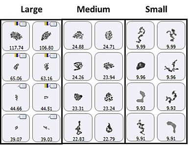 Representative particle images from each of the size bands defined for the lysozyme sample in suspension. Note that the scale is not the same for each group.