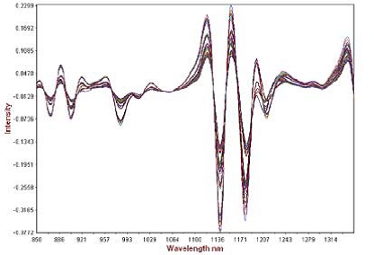 Second derivative math pre-treatment of calibration spectra showing analytical range.