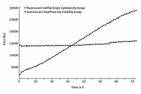 The Multiplexed RealTime-Glo® and CellTox™ Green assay. Average results of 10 replicates shows that cell viability increases and cytotoxicity is unchanged over 72 hours in untreated cells.