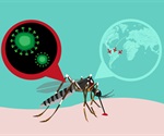 Zika virus exposure during pregnancy permanently shapes offspring's frontline immune cells