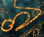 Clinical trials demonstrate safety and efficacy of Ebola Zaire vaccines