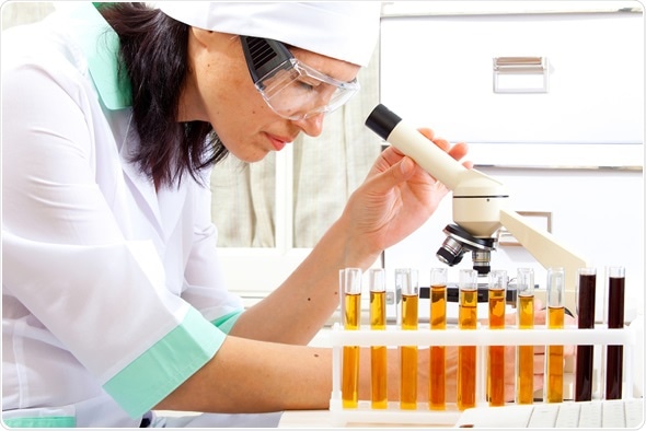 Image Copyright: Zholobov Vadim / Shutterstock