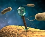 Bacteriophage-derived lysin could be used to target odor-causing bacteria in armpits
