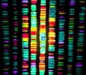 Whole-genome sequencing improves PARP inhibitor treatment prediction