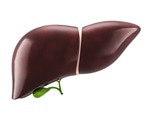 Preclinical study reveals potential new treatment for severe liver fibrosis