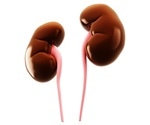 Risk of kidney stones increases higher if overweight