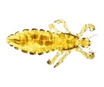Pricey head lice treatment nothing but common cleanser