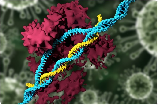 In a new study, MIT researchers have developed nanoparticles that can deliver the CRISPR genome-editing system and specifically modify genes, eliminating the need to use viruses for delivery. Image Credit: MIT