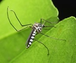 Mosquito control using special bacteria infected mosquitoes approved by the EPA