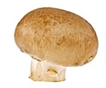 Research reveals undisclosed active ingredients in retail mushroom products