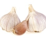 Garlic protects against severe chronic pulmonary hypertension