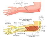 Compressed Ulnar Nerve