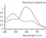 Detection of Standard Absorbance-Based Protein Quantification Assays Using BMG LABTECH Readers