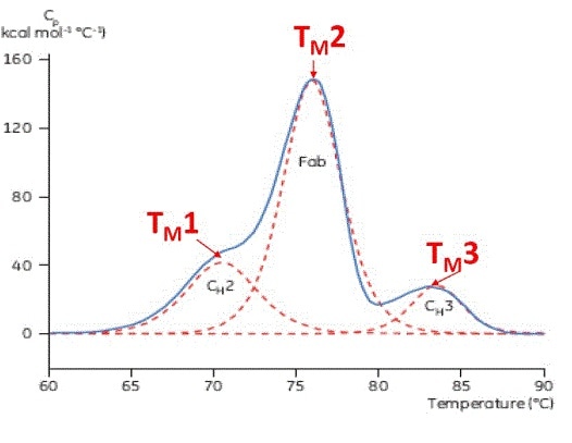 Representative DSC thermogram of a monoclonal antibody, with CH2, Fab, and CH3 domains identified. The dashed red lines are the deconvoluted peaks of each domain transition, with the three TMs indicated.