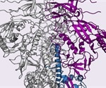 Scripps scientists make important advance in HIV vaccine design