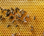 Bee-sting inspired microneedle patches offer pain-free drug delivery