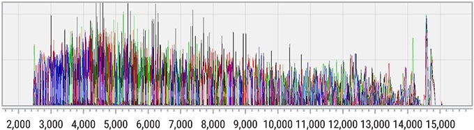 Representative portion of an electropherogram (Top Panel) generated using the Applied Biosystems BigDye® v3.1 Kit, Polymer 7 and Hitachi base calling software; (Bottom Panel) whole data file.