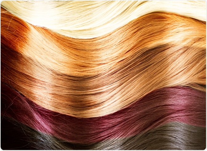Hair Colors Palette. Hair Texture. Image Credit: Subbotina Anna / Shutterstock