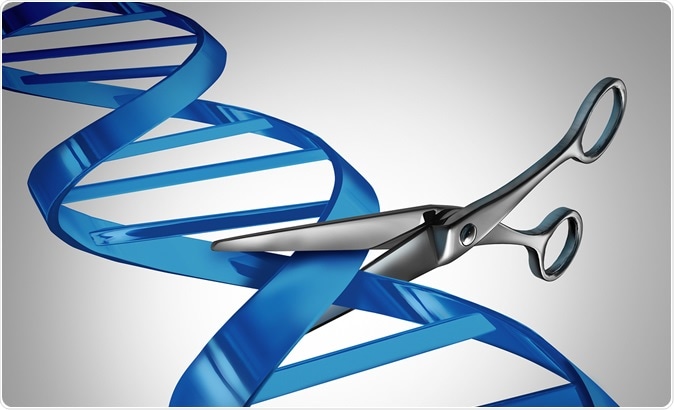 Image Credit: Lightspring / Shutterstock