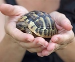 Pet turtles can give people Salmonella infections, warns CDC
