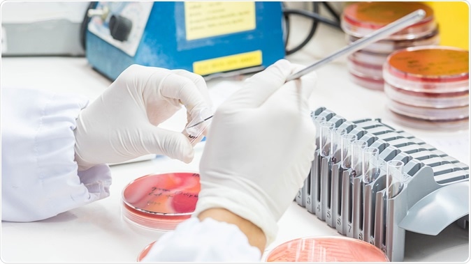 Image Credit: Sirirat / Shutterstock