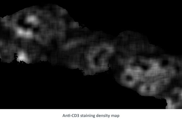 AntiCD3 DensityMap