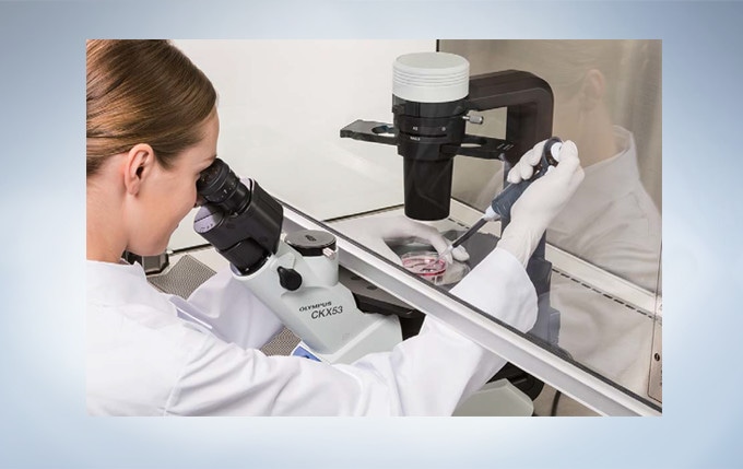 Easy Cell Sampling in a Sterile Bench Environment
