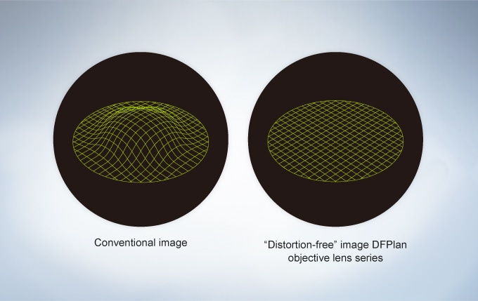 Excellent Optical Performance with Natural View