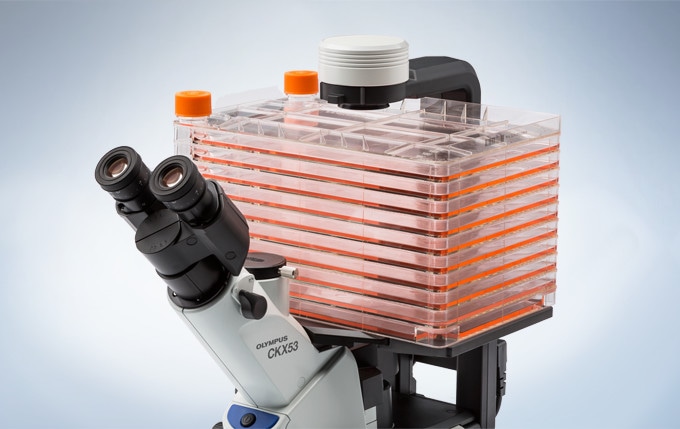 More Comprehensive Observation for a Multi-Layer Tissue Flask