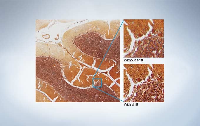 Capture Fine Details at Low Magnifications