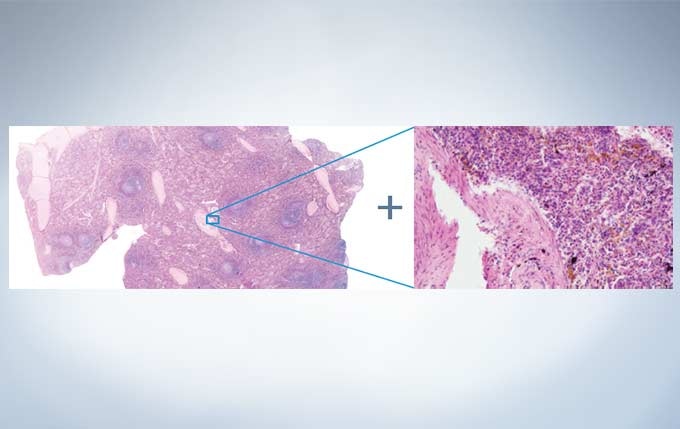 Easily know the location of interest with the Position Navigator