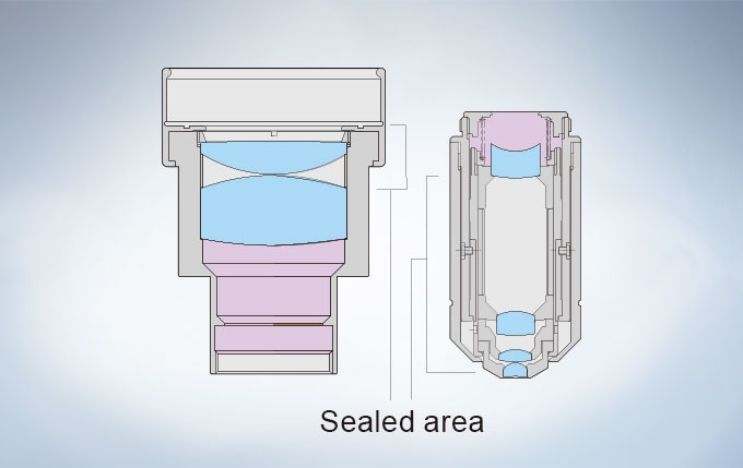 Anti-fungal Treatment