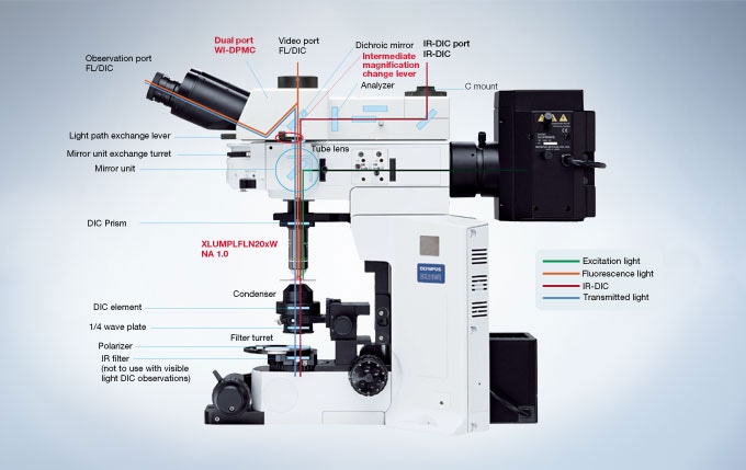 Variable Click-stops with Minimal Vibration