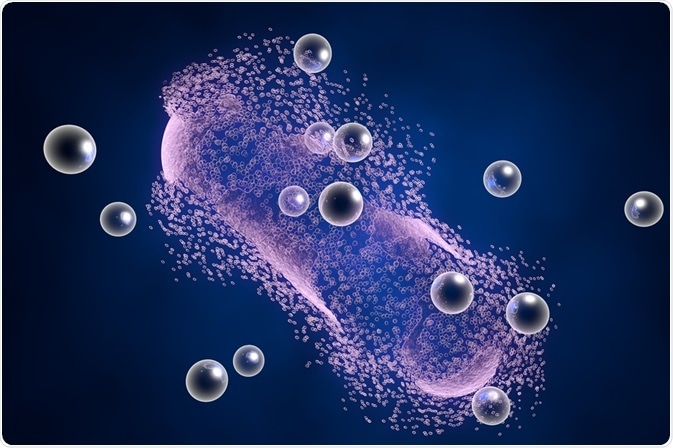 Kateryna Kon - nanoparticles