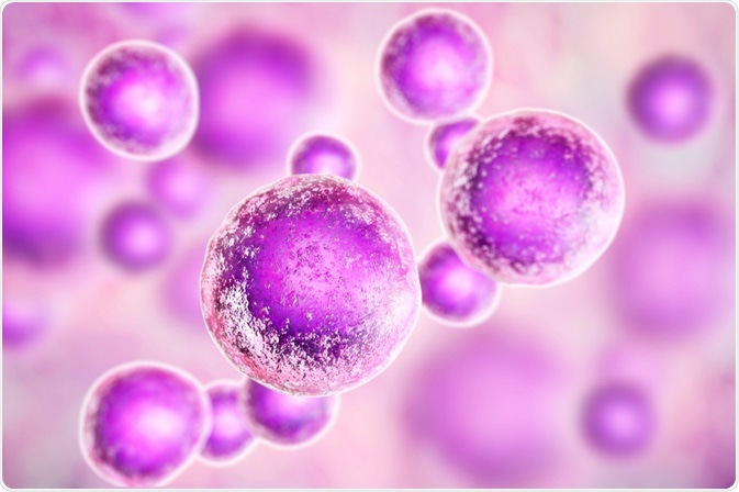 Cells by Kateryna Kon