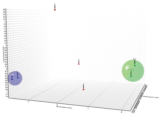 Cluster analysis of the patterns found in US 8217061 B211.