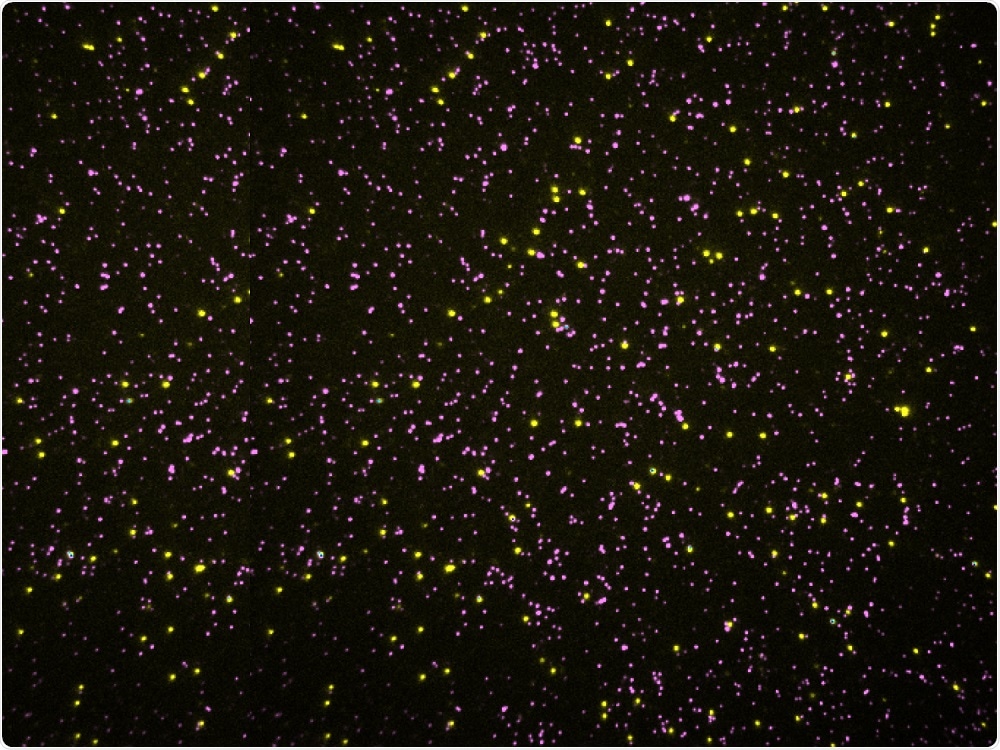 University of Texas at Austin