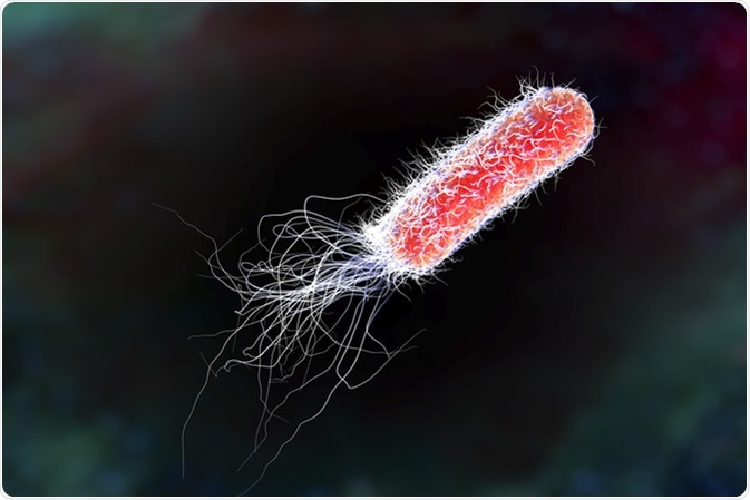 Bacterium Pseudomonas aeruginosa - antibiotic-resistant nosocomial bacterium. Illustration shows polar location of flagella and presence of pili on the bacterial surface. Image Credit: Kateryna Kon / Shutterstock