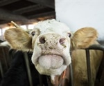 Mad Cow disease found on Aberdeenshire farm