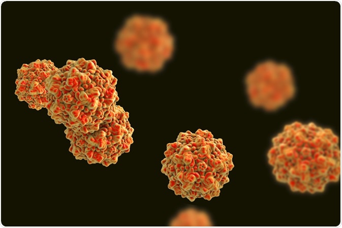 Parvovirus B19 isolated on black background, a virus which causes anemia, a childhood rash called fifth disease or erythema infectiosum, 3D illustration. Image Credit: Kateryna Kon / Shutterstock