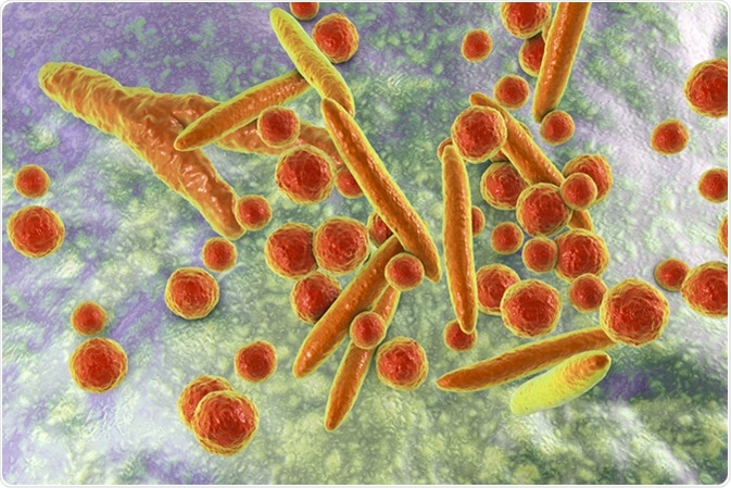 Mycoplasma bacteria, 3D illustration showing small polymorphic bacteria which cause pneumonia, genital and urinary infections. Image Credit: Kateryna Kon / Shutterstock